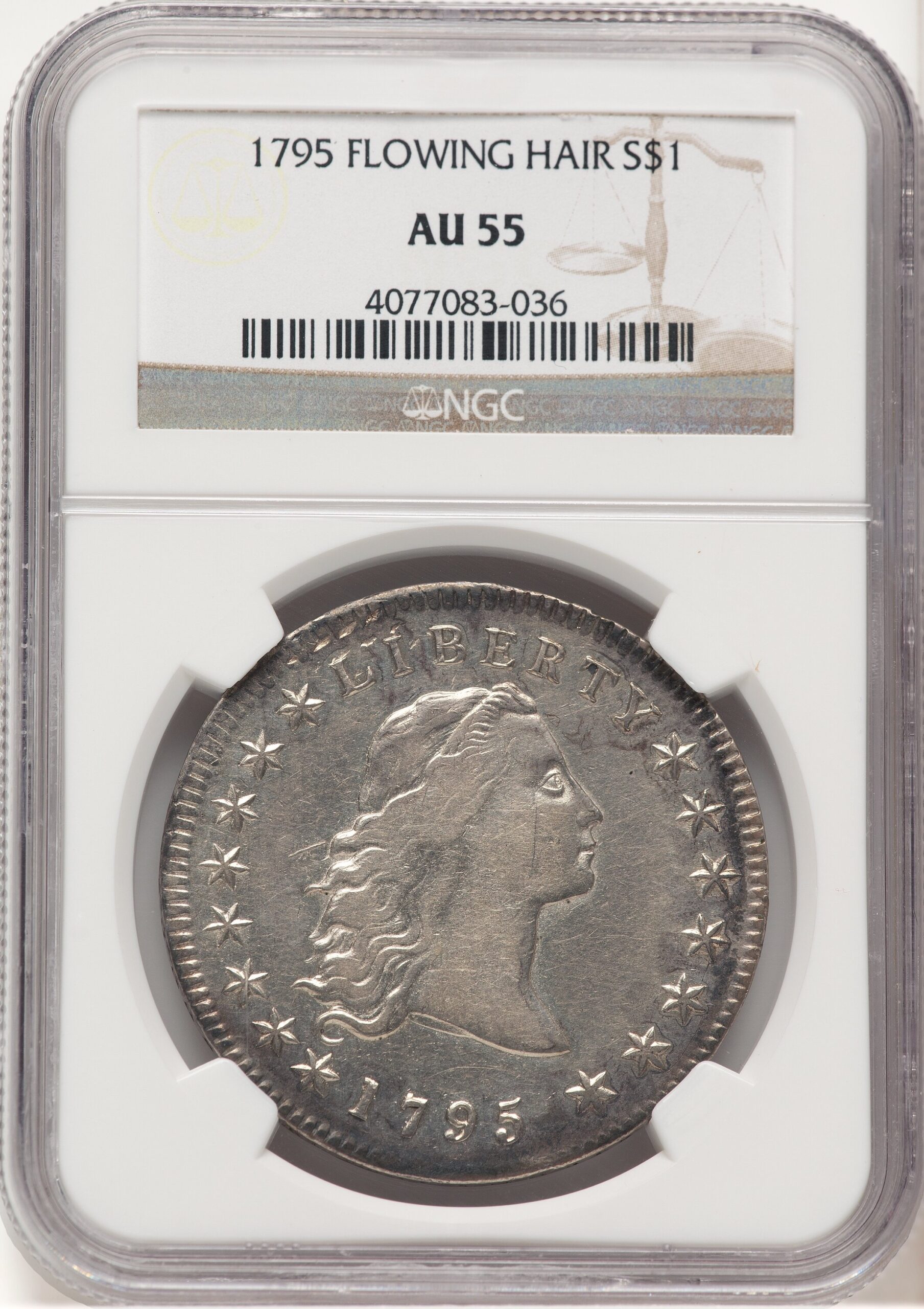 1795 Flowing Hair Three Leaves Early Dollar NGC AU55 1795 Flowing Hair Three Leaves Early Dollar NGC AU55