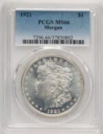 1921 Morgan Morgan Dollar PCGS MS66 (521316007)