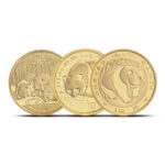 Chinese 1/10 oz Gold Panda Coin BU (Random Year)